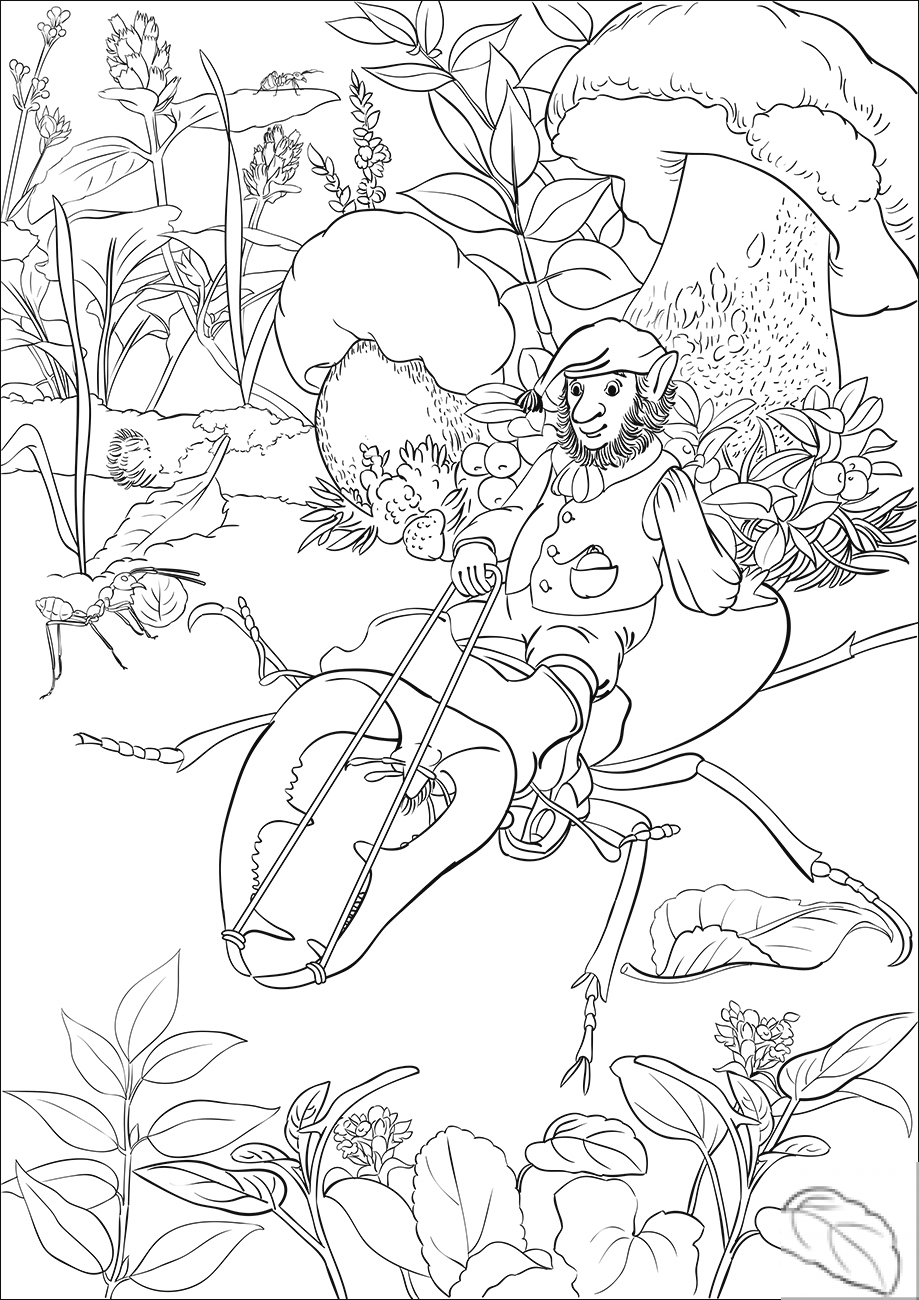 Leprechaun is Riding a Beetle