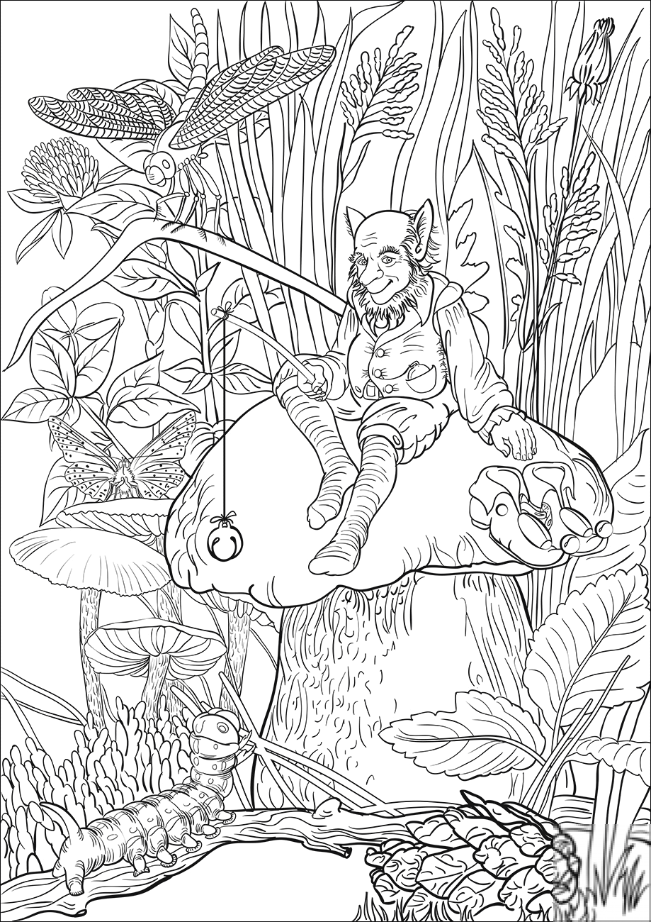 Old Leprechaun on the Mushroom