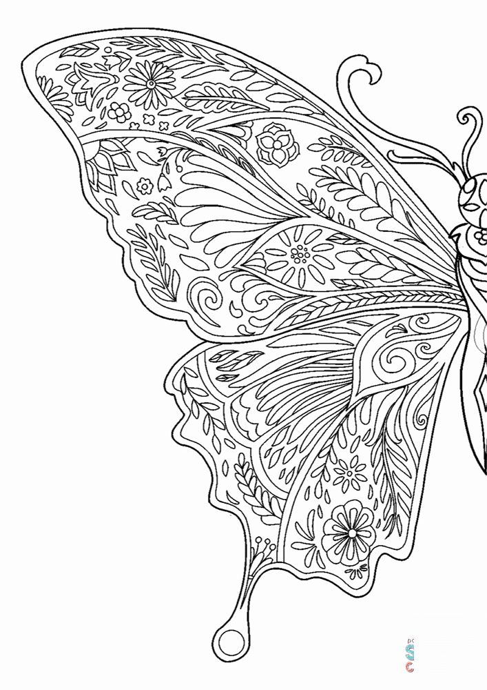 Wings of Freedom Butterfly