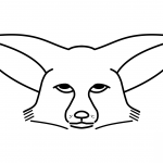 Fennec Fox Face