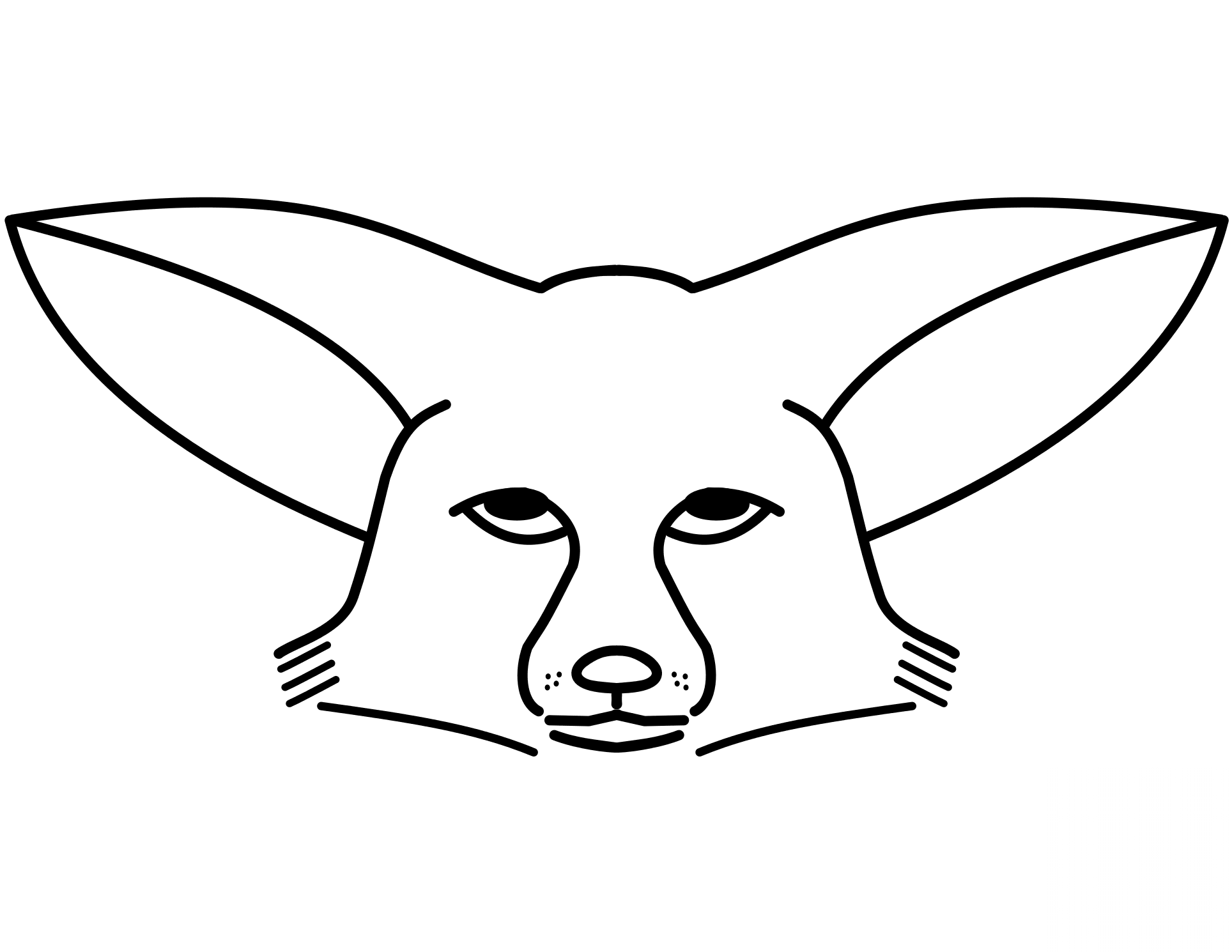 Fennec Fox Face