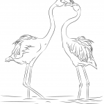 Dwa piękne flamingi