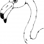 Flamingo Head