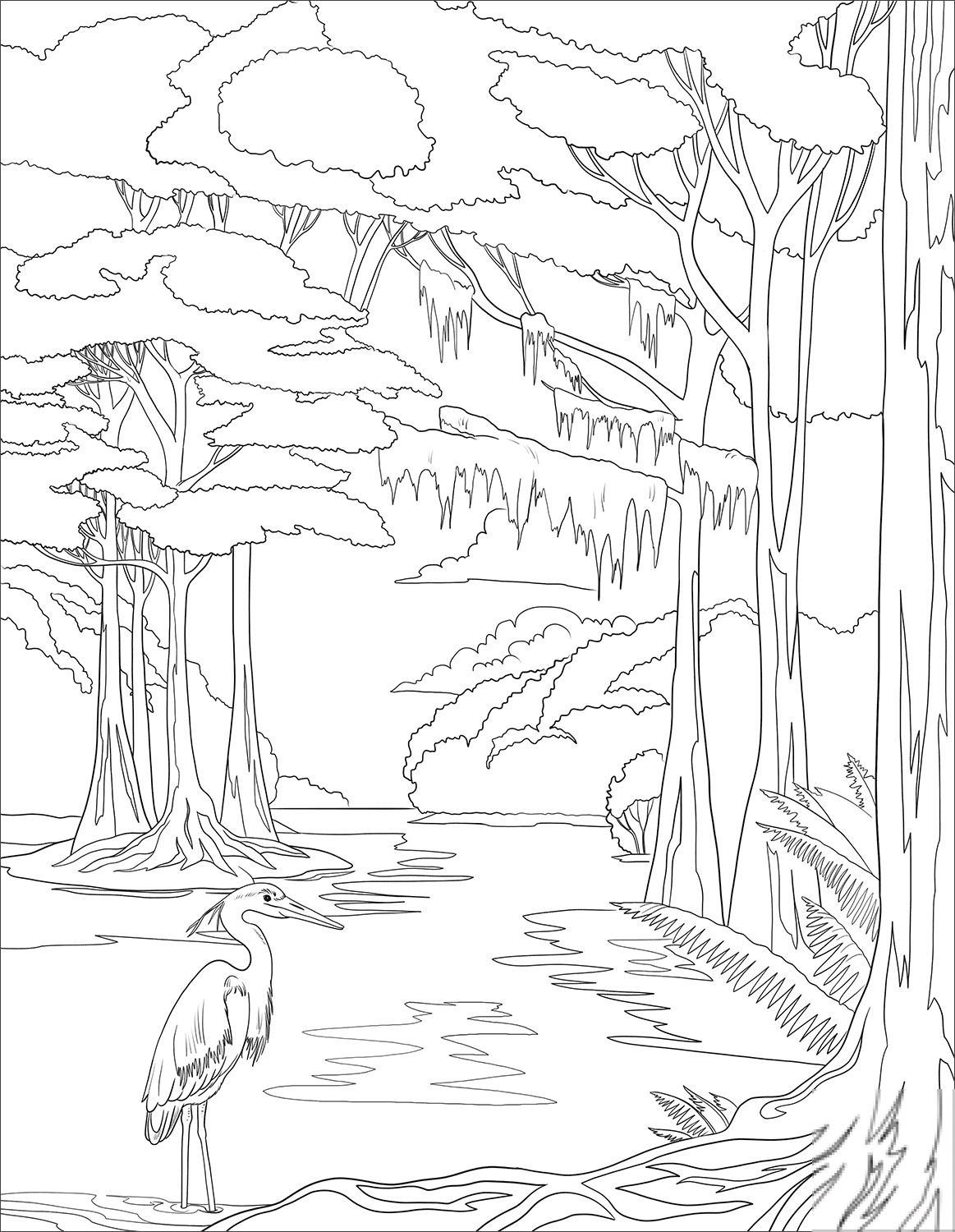 Park Narodowy Everglades