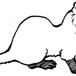 Fretka - udomowiony tchórz zwyczajny