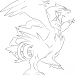 Reshiram Pokemon