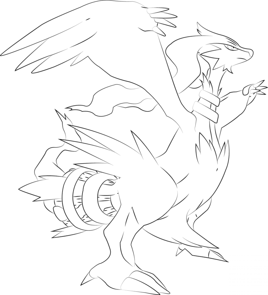 Reshiram Pokemon