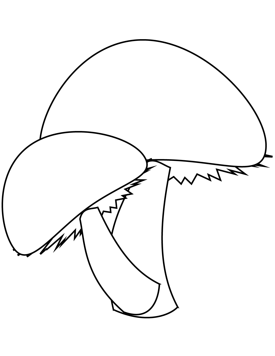 Two Mushrooms