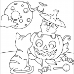Halloween Cats and Jack O'Lantern