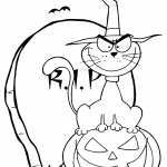 Halloween Cat on Pumpkin near...