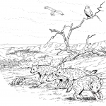 Klan hien cętkowanych