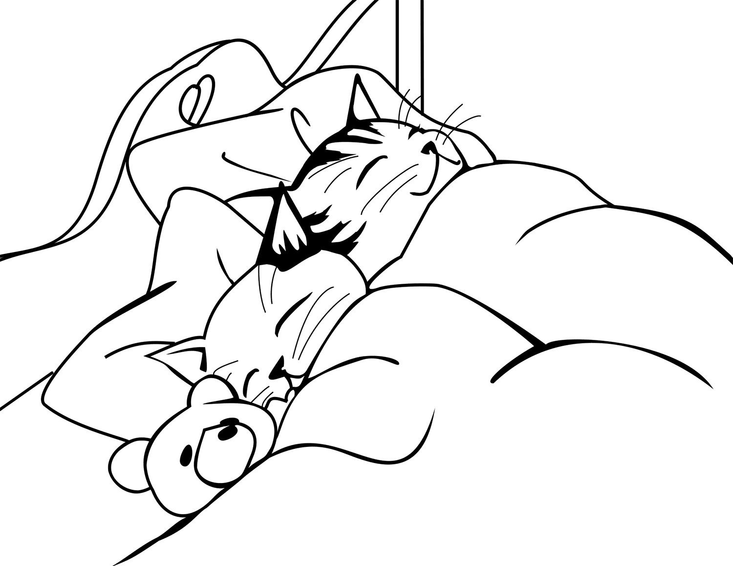 Cats Sleeping in Bed