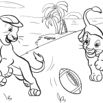 Lions Cubs Playing American Football