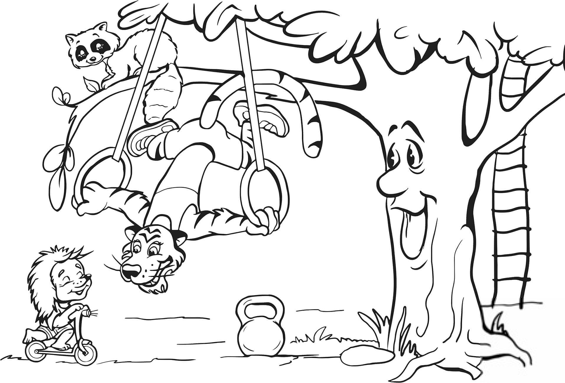 Tiger is Doing Ring Training...