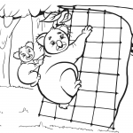 Koala Mother and Her Cub are...