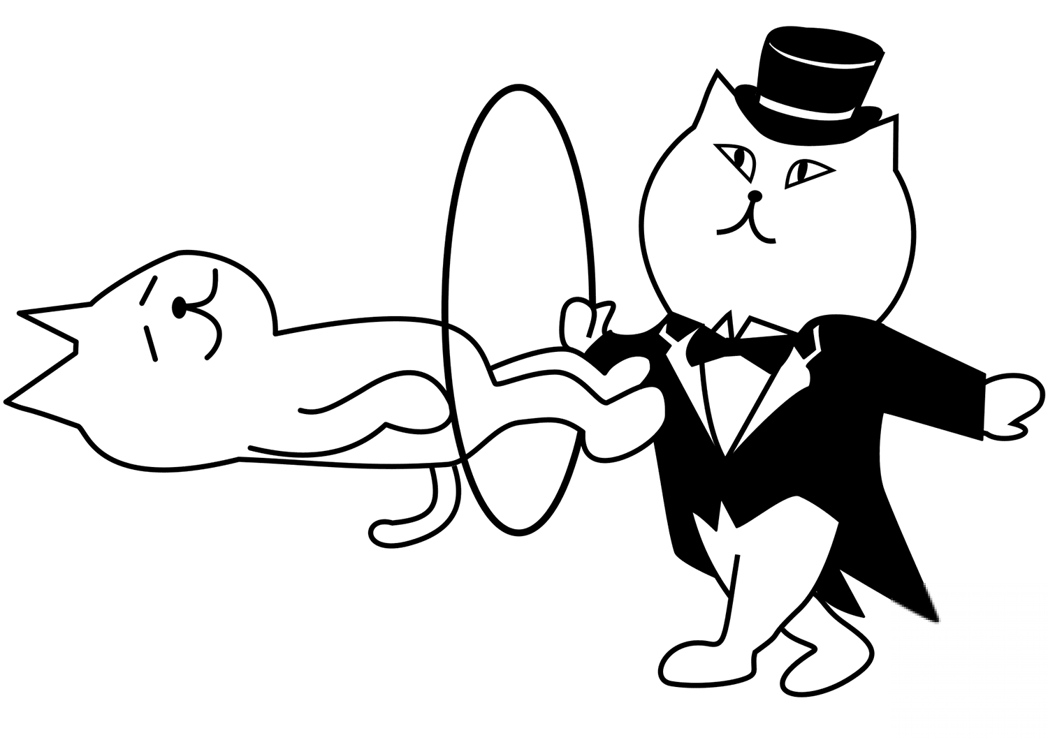 Magician Cat