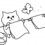 Cat is Hanging out Clothes