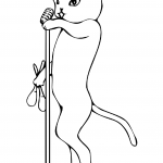 Cat the Singer with the Maracas