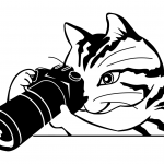 Cat with the Photo Camera