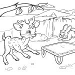 Rabbit and Deer are Bouncing on a...