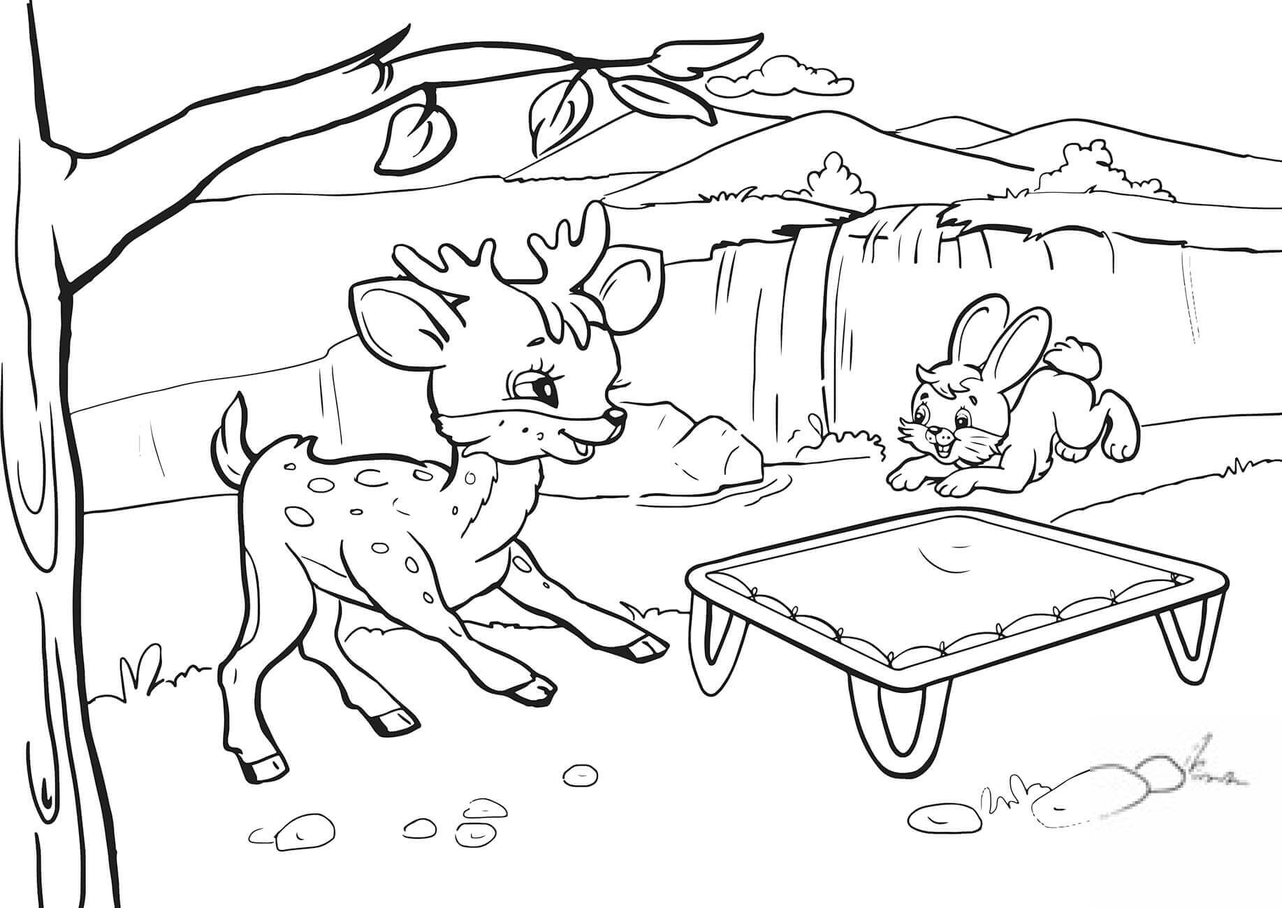 Rabbit and Deer are Bouncing on a...