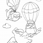 Albatross is Curious to See Two...