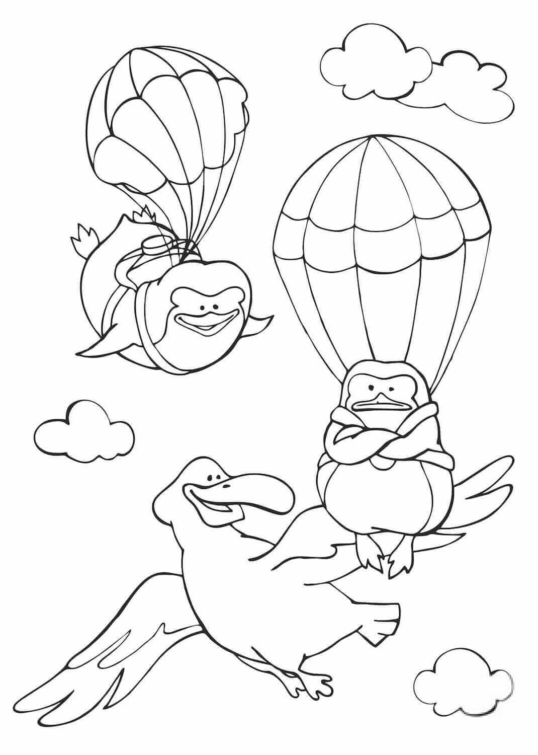 Albatross is Curious to See Two...