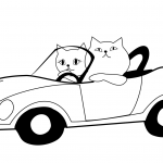 Cat Drives a Car