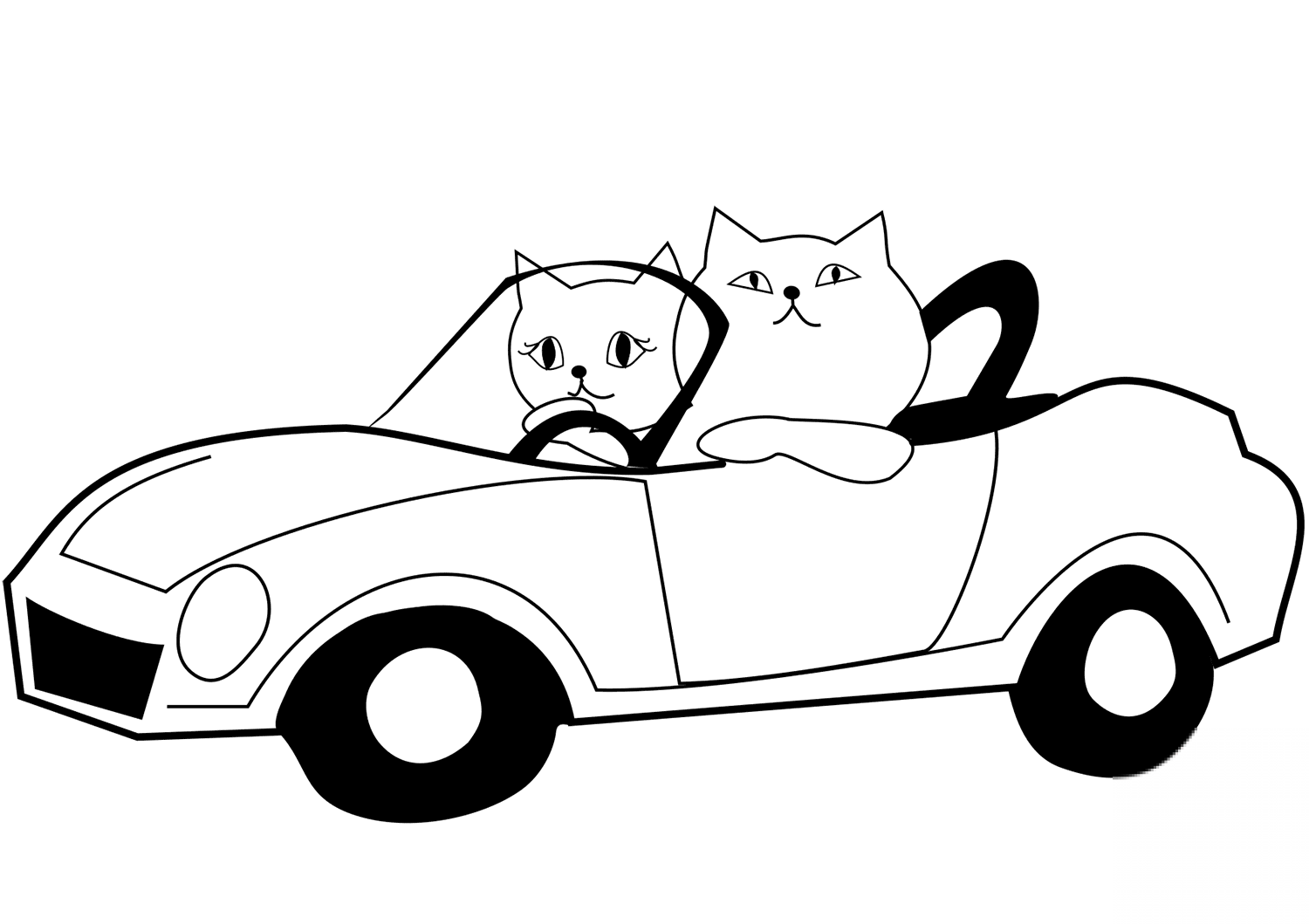Cat Drives a Car
