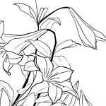 Lilies by Katsushika Hokusai