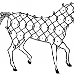 Indian Horse Design