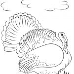 Cartoon Turkey