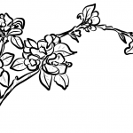 Apple Blossom Branch