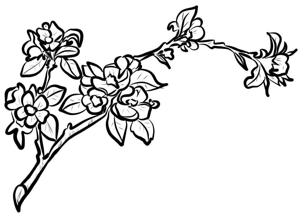 Apple Blossom Branch