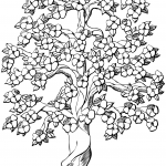 Flowering Apple Tree