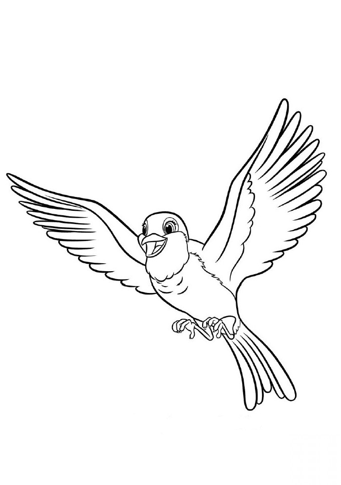 Robin from Sofia the First