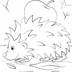Hedgehog with Apple