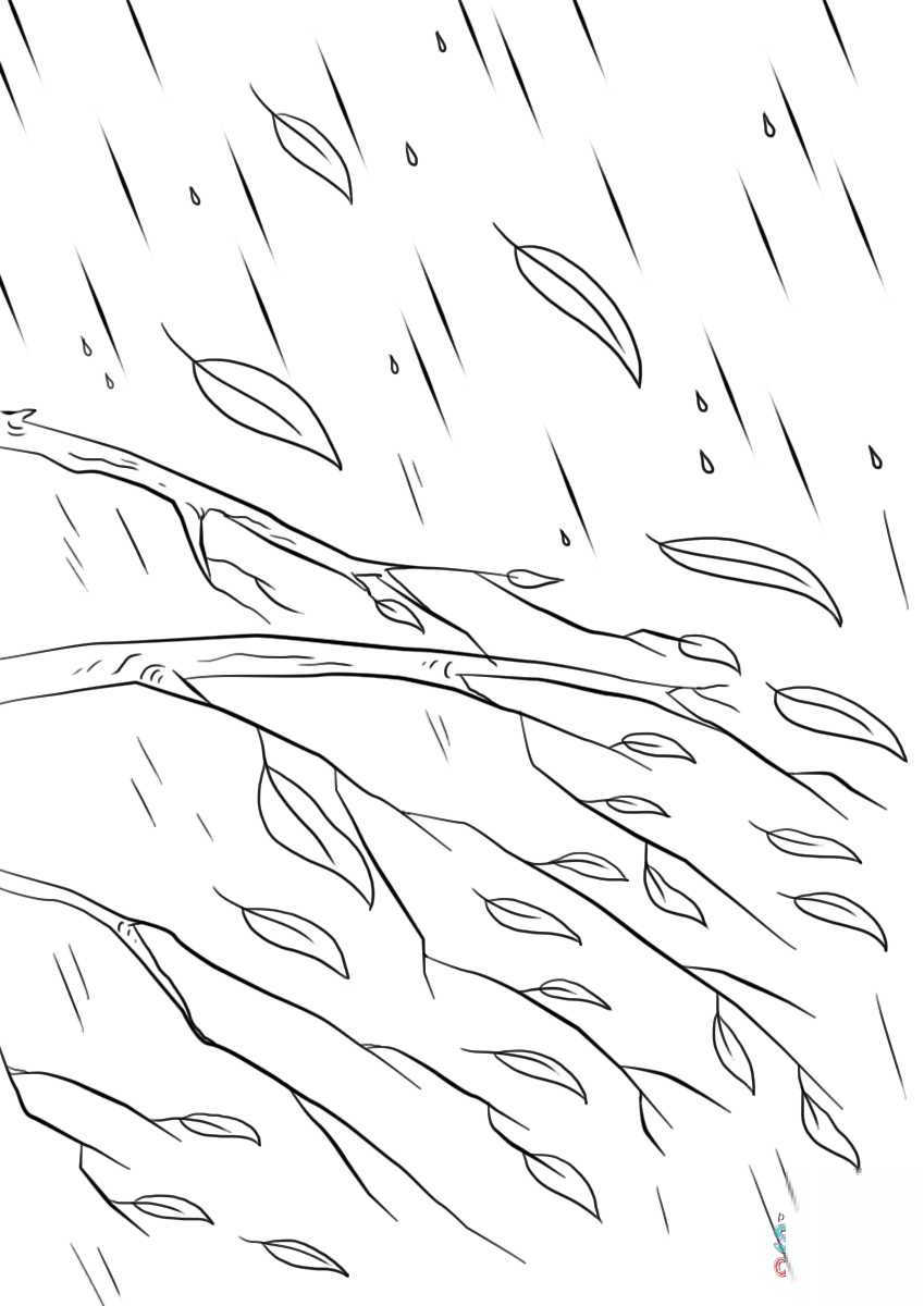 Autumn Leaves Branches