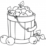 Apples in a Bucket