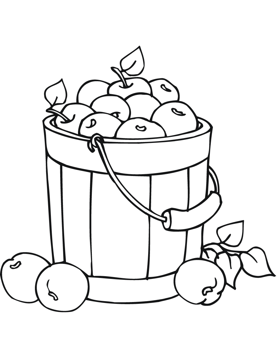 Apples in a Bucket