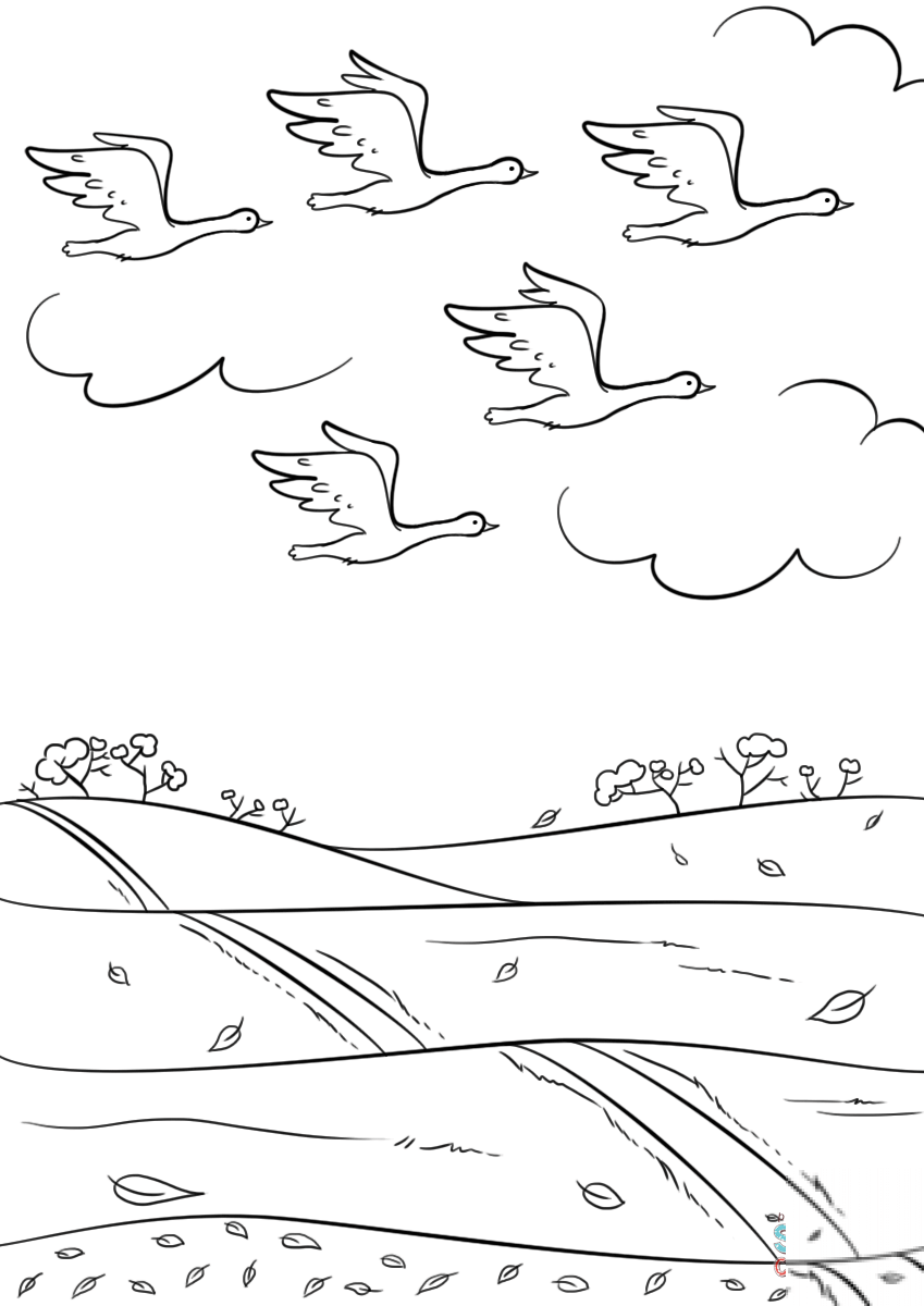 Birds Fly South in Autumn