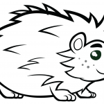 Jeż - mały, naziemny ssak