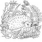 Hedgehog