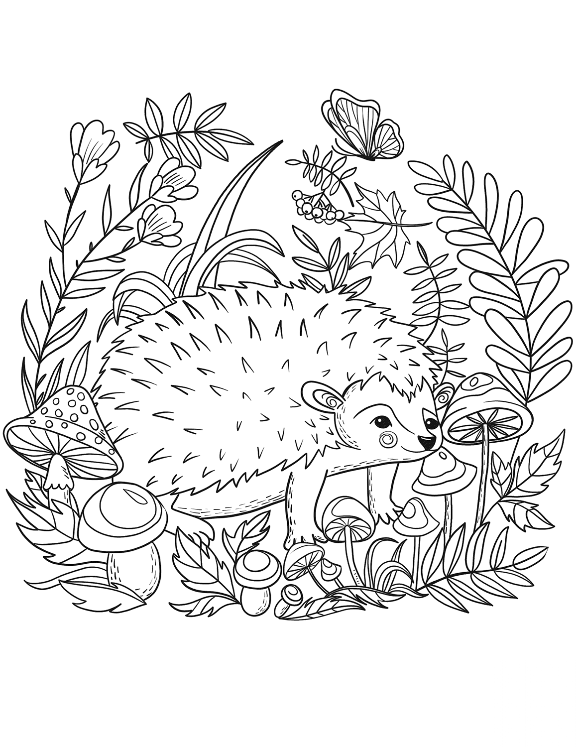 Hedgehog