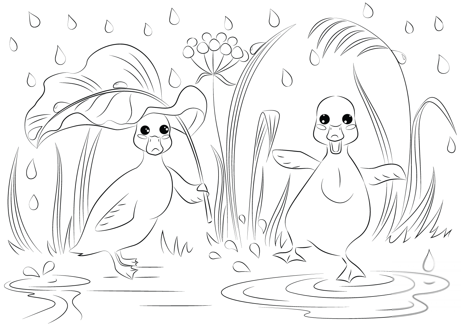 Two Ducks in the Rain