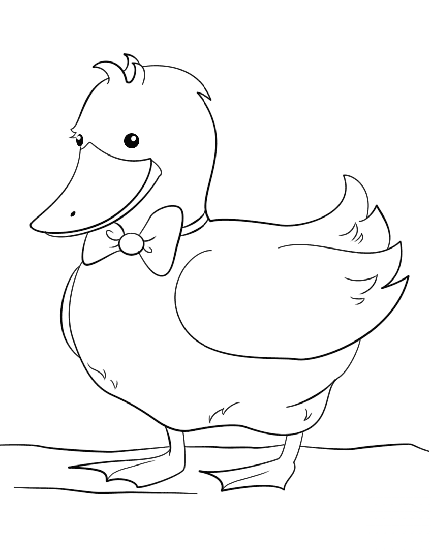 Cute Cartoon Duck Wearing Bow Tie