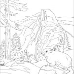 Park Narodowy Yosemite