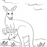 Cute Kangaroo with Baby in Pouch