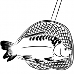Carp in a Landing Net