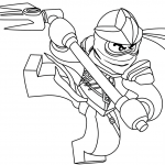 Lego Ninjago Cole